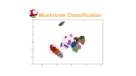 Mushroom PCA